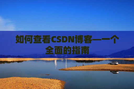 如何查看CSDN博客—一个全面的指南
